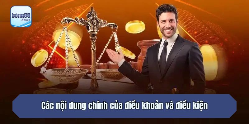 Các nội dung chính của điều khoản và điều kiện
