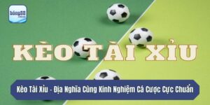 Kèo Tài Xỉu - Địa Nghĩa Cùng Kinh Nghiệm Cá Cược Cực Chuẩn
