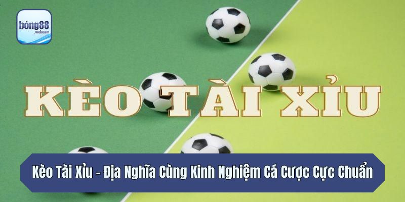 Kèo Tài Xỉu – Địa Nghĩa Cùng Kinh Nghiệm Cá Cược Cực Chuẩn