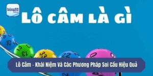 Lô Câm - Khái Niệm Và Các Phương Pháp Soi Cầu Hiệu Quả